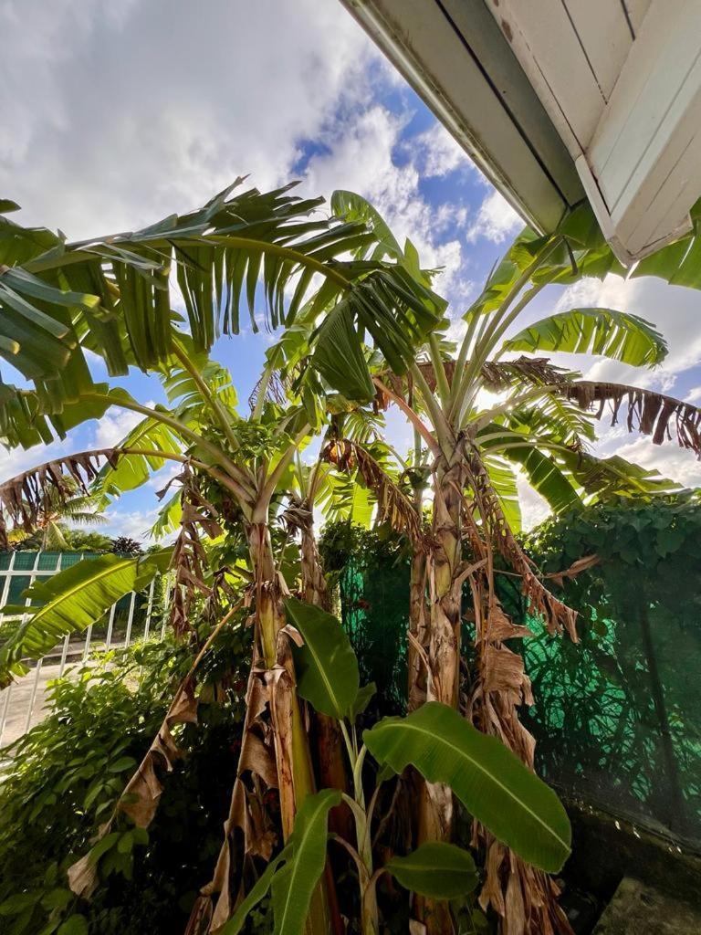Superbe Villa Bwa Lele Riviere-Salee Екстер'єр фото